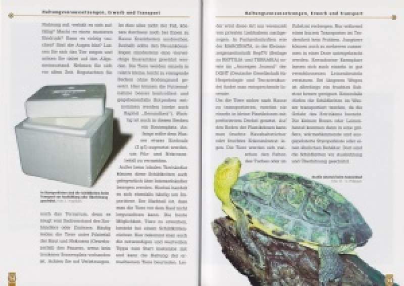 Preview: Die Chinesische Streifenschildkröte